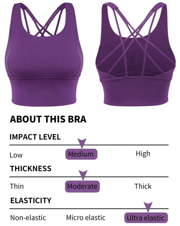 Sports Bra manufacturer